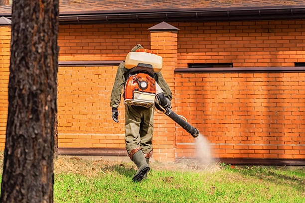 Trusted Cockroach Control service in Brooklawn, NJ - Nex Pest Control